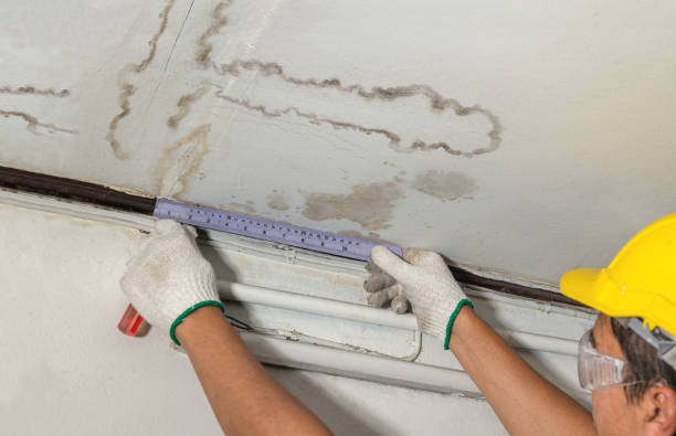 Affordable Ceiling Water Damage Repair solutions in Palmyra, ME